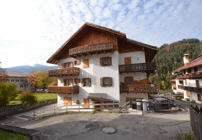 Appartamento a San Vito di Cadore - Cà Enrosarida 2 appartamento in zona centrale - 6 posti letto - WIFI  Appartamento a San Vito di Cadore - Cà Enrosarida 2 appartamento in zona centrale - 6 posti letto - WIFI