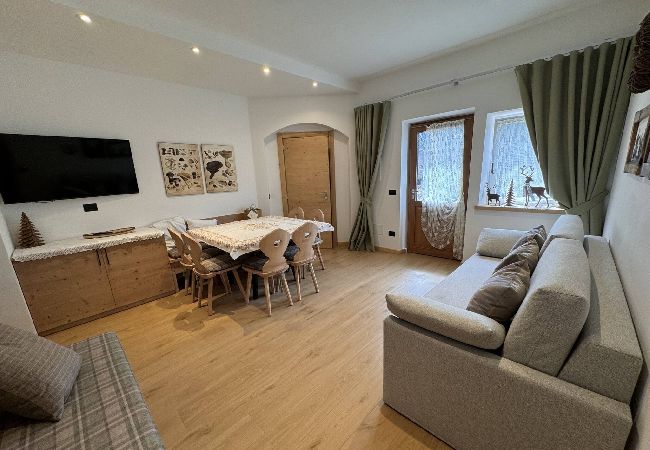 Appartamento a San Vito di Cadore - Appartamento Stella Alpina  Appartamento a San Vito di Cadore - Appartamento Stella Alpina