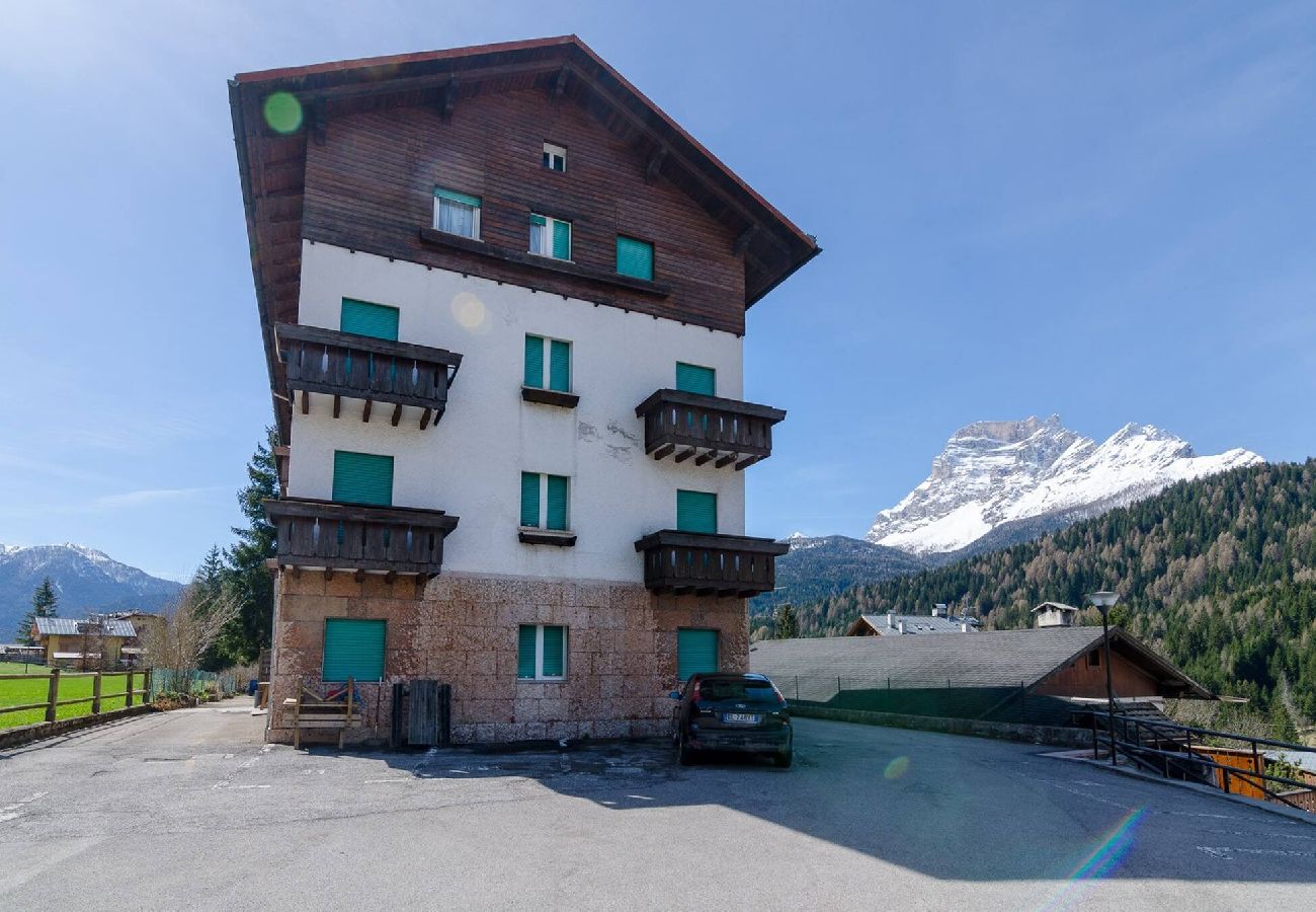 Appartamento a San Vito di Cadore - Appartamento Stella Alpina 