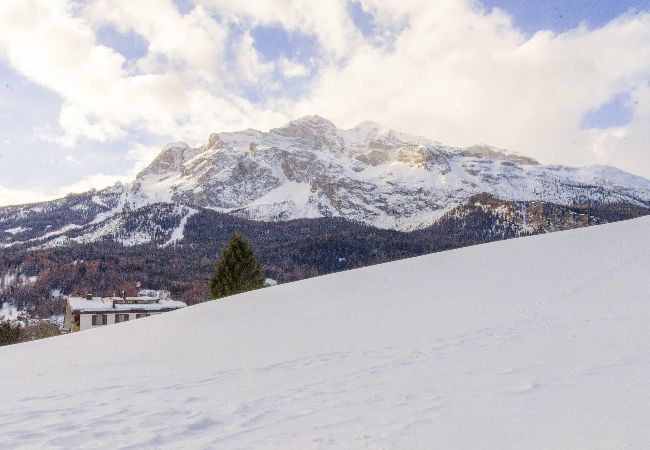 Appartamento a Cortina d´Ampezzo - Tofana Cosy Studio ( beds 2+1)  Appartamento a Cortina d´Ampezzo - Tofana Cosy Studio ( beds 2+1)