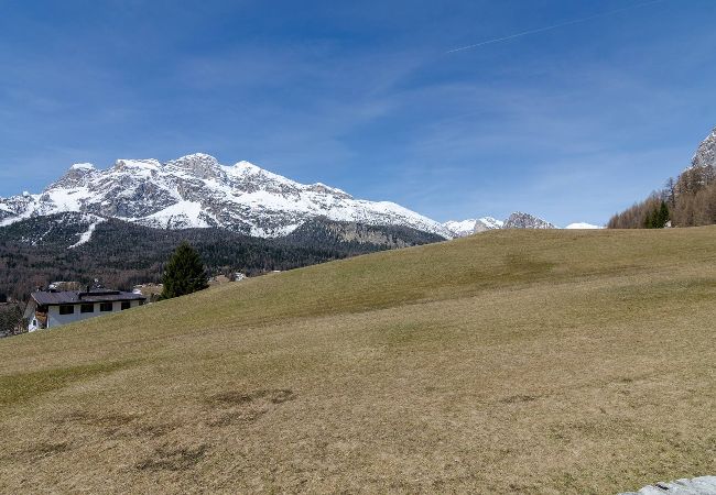 Appartamento a Cortina d´Ampezzo - Tofana Cosy Studio ( beds 2+1)  Appartamento a Cortina d´Ampezzo - Tofana Cosy Studio ( beds 2+1)