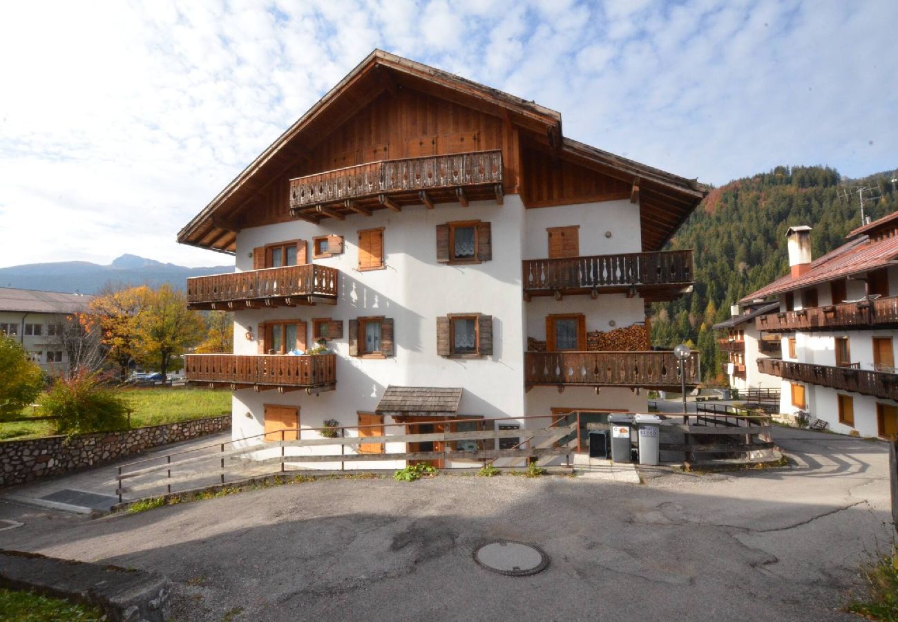 Appartamento a San Vito di Cadore - Cà Enrosadira: a due passi dal centro con WIFI 