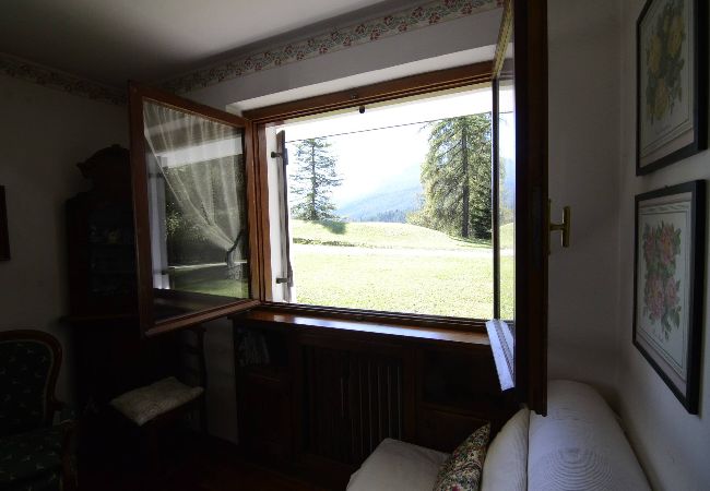 Appartamento a Cortina d´Ampezzo - Monolocale 4 posti letto in zona tranquilla  Appartamento a Cortina d´Ampezzo - Monolocale 4 posti letto in zona tranquilla