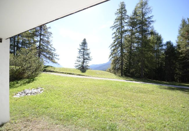 Appartamento a Cortina d´Ampezzo - Monolocale 4 posti letto in zona tranquilla  Appartamento a Cortina d´Ampezzo - Monolocale 4 posti letto in zona tranquilla