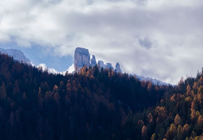 Appartamento a Cortina d´Ampezzo - Ammirando le Dolomiti: 6 posti letto e WIFI Appartamento a Cortina d´Ampezzo - Ammirando le Dolomiti: 6 posti letto e WIFI