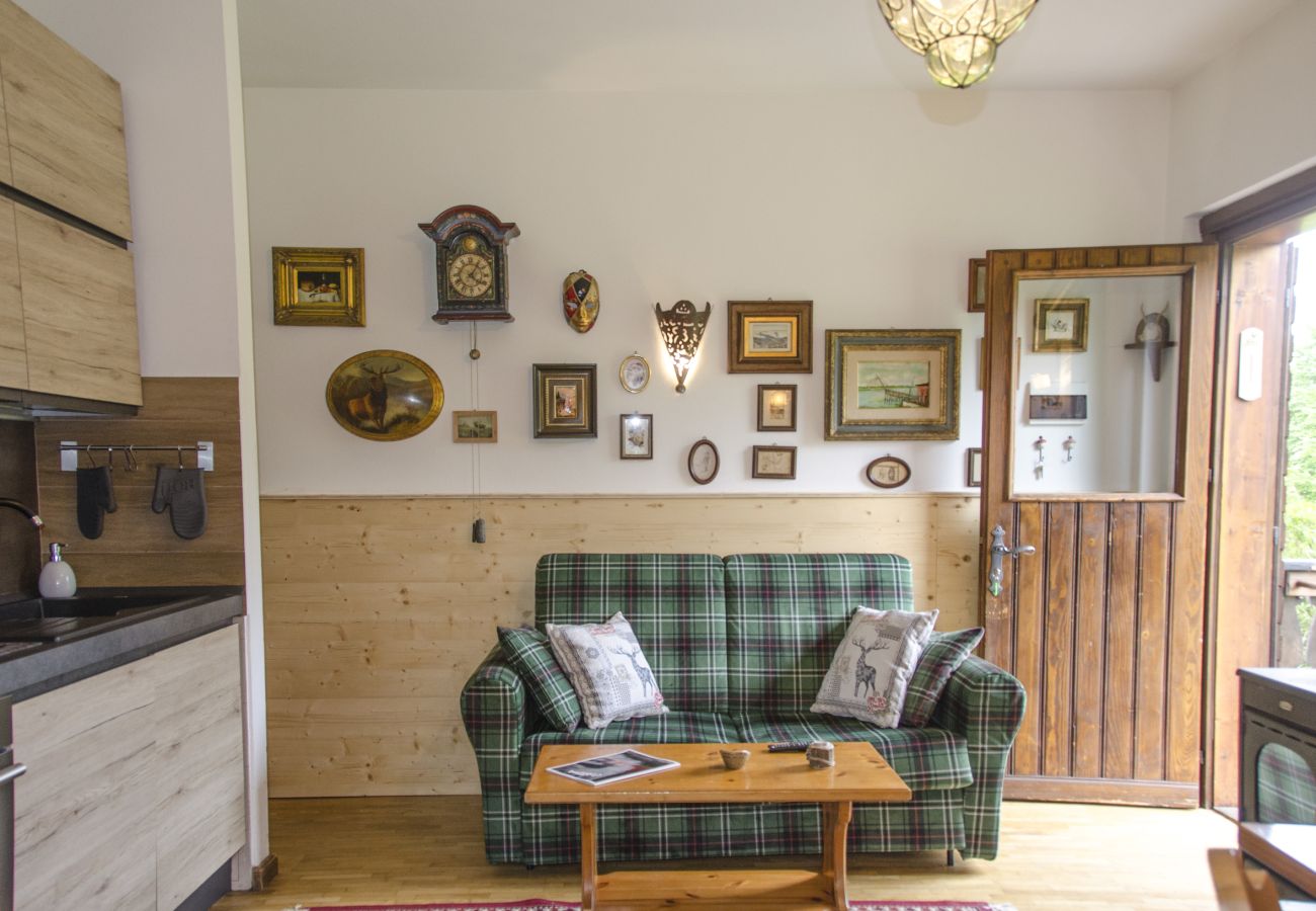 Appartamento a San Vito di Cadore - Casa Salvaniera