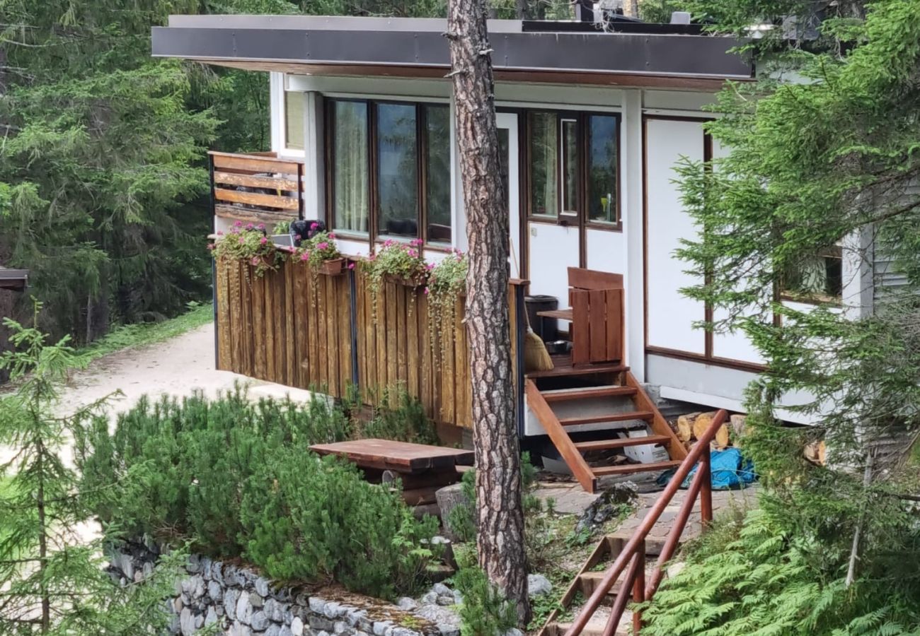 Appartamento a Borca di Cadore - Chalet nella Corte delle Dolomiti