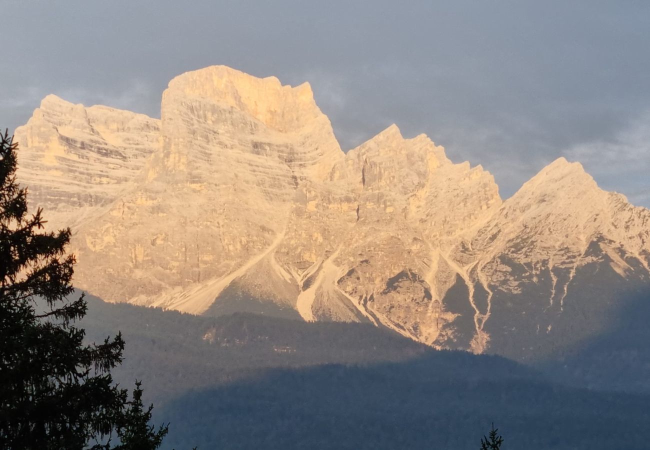 Appartamento a Borca di Cadore - Chalet nella Corte delle Dolomiti