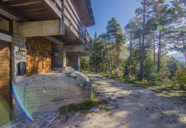 Casa a Borca di Cadore - Chalet nel verde Casa a Borca di Cadore - Chalet nel verde