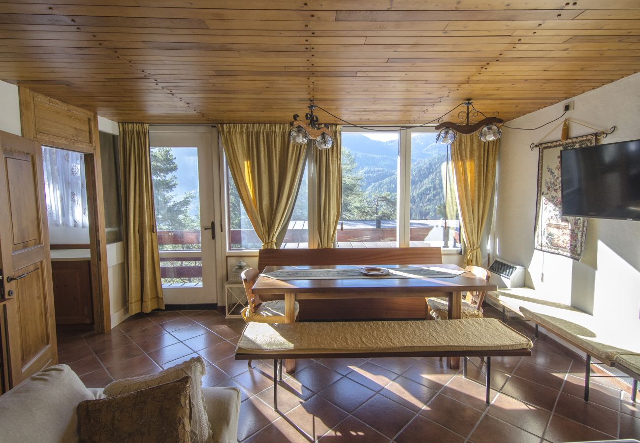 Casa a Borca di Cadore - Chalet nel verde