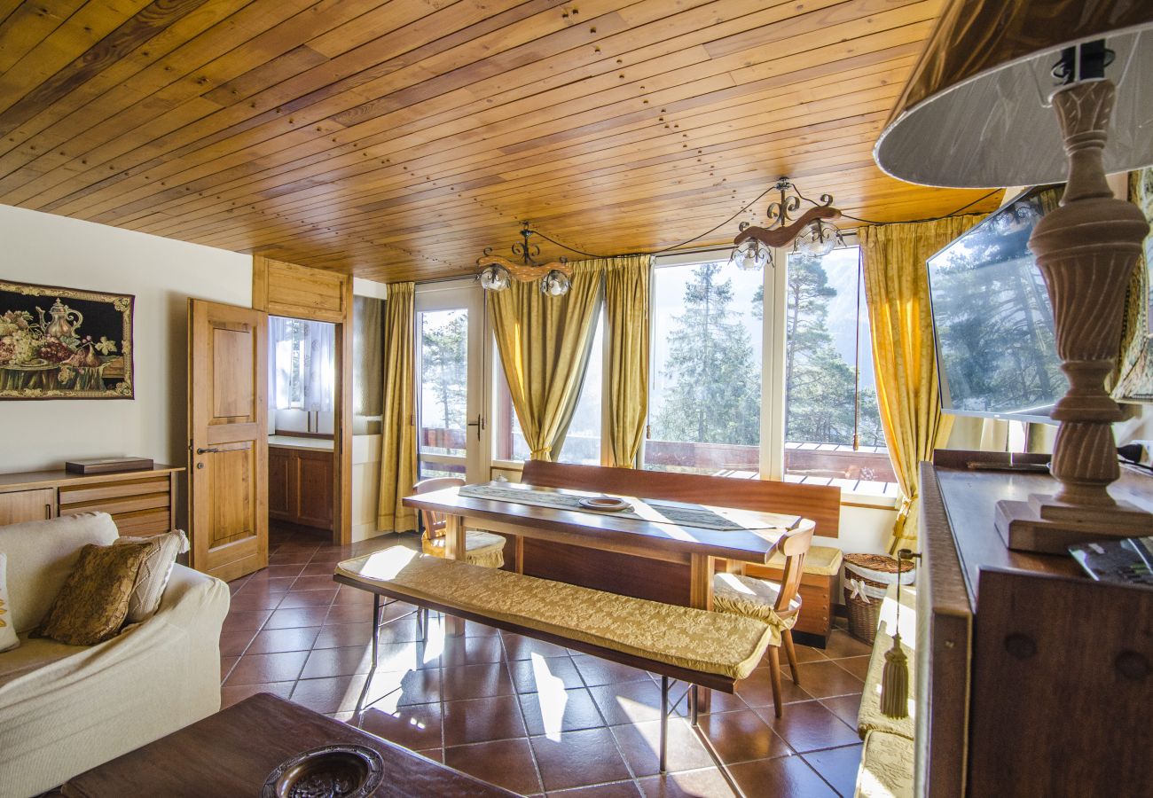 Casa a Borca di Cadore - Chalet nel verde