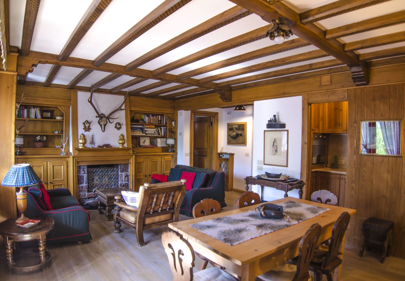 Appartamento a Cortina d´Ampezzo - Al Larice, appartamento con terrazza in zona tranquilla