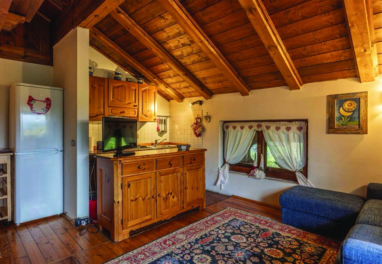 Ferienwohnung in San Vito di Cadore - Casa Mary: 4 posti letto vista Pelmo