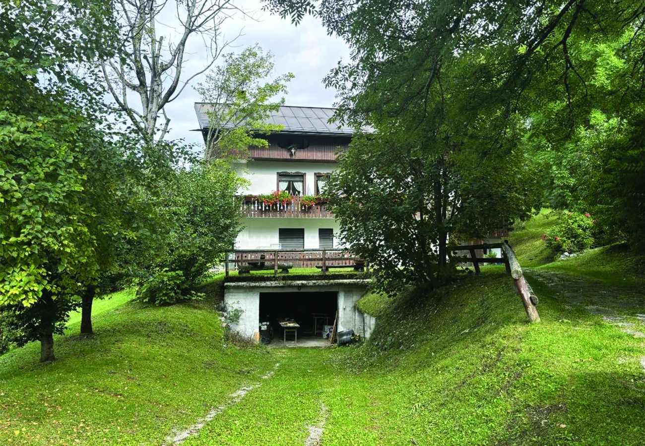 Ferienwohnung in San Vito di Cadore - Casa Mary: 4 posti letto vista Pelmo