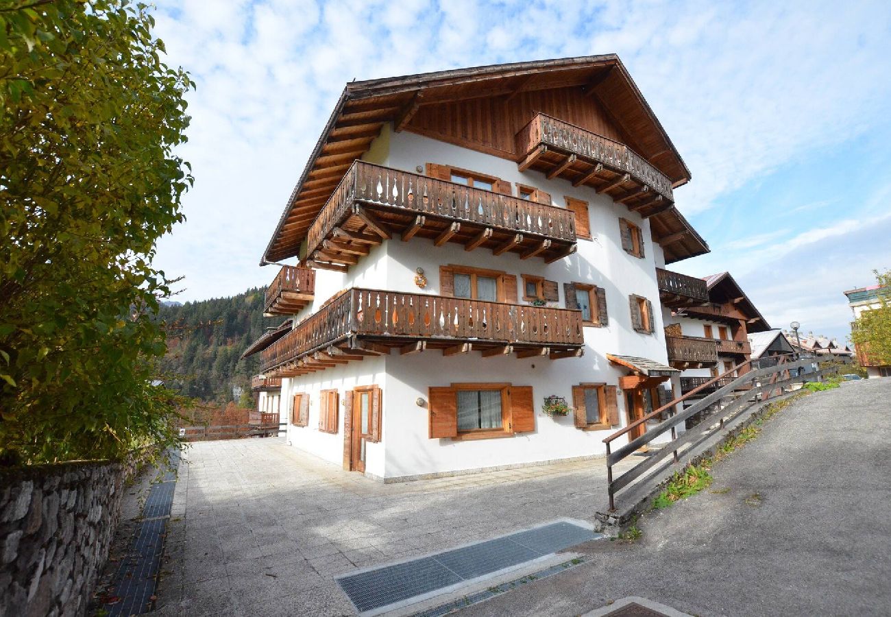 Apartment in San Vito di Cadore - Elegant apartament  in central area - 6 beds - WIFI 