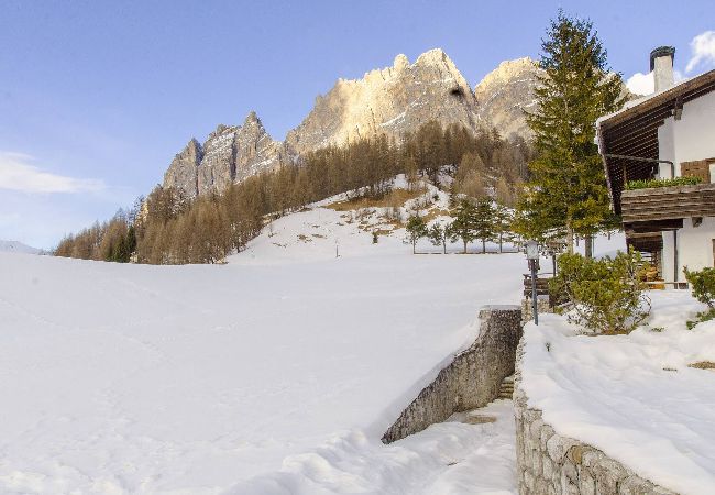 Apartment in Cortina d´Ampezzo - Tofana Cosy Studio - 2 persons  Apartment in Cortina d´Ampezzo - Tofana Cosy Studio - 2 persons