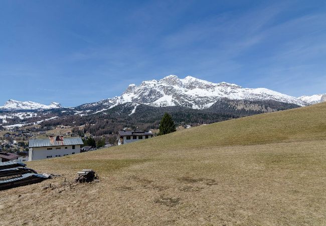 Apartment in Cortina d´Ampezzo - Tofana Cosy Studio - 2 persons  Apartment in Cortina d´Ampezzo - Tofana Cosy Studio - 2 persons