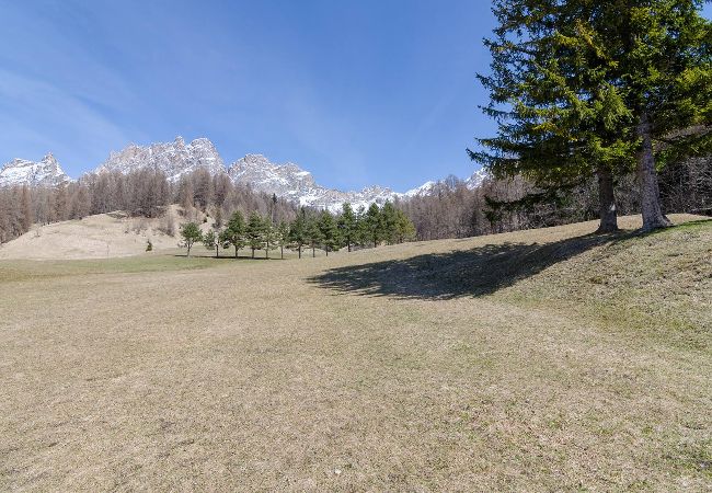 Apartment in Cortina d´Ampezzo - Tofana Cosy Studio - 2 persons  Apartment in Cortina d´Ampezzo - Tofana Cosy Studio - 2 persons