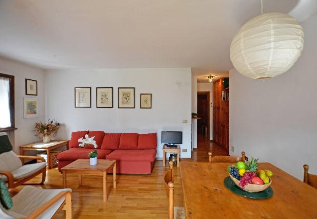 Apartment in Borca di Cadore - Apartment at the foothills of Pelmo - Borca di Cadore center  Apartment in Borca di Cadore - Apartment at the foothills of Pelmo - Borca di Cadore center