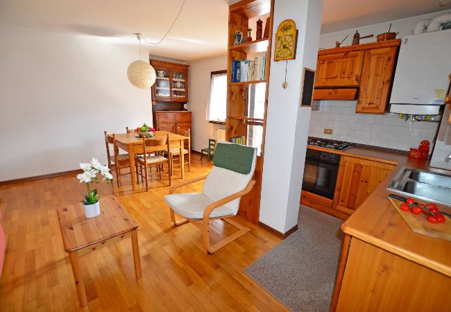 Apartment in Borca di Cadore - Apartment at the foothills of Pelmo - Borca di Cadore center  Apartment in Borca di Cadore - Apartment at the foothills of Pelmo - Borca di Cadore center