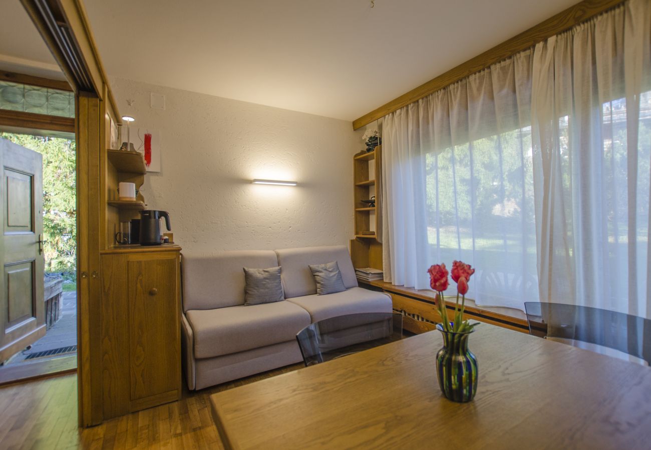 Apartment in Cortina d´Ampezzo - Comfort loft: central zone and garden.