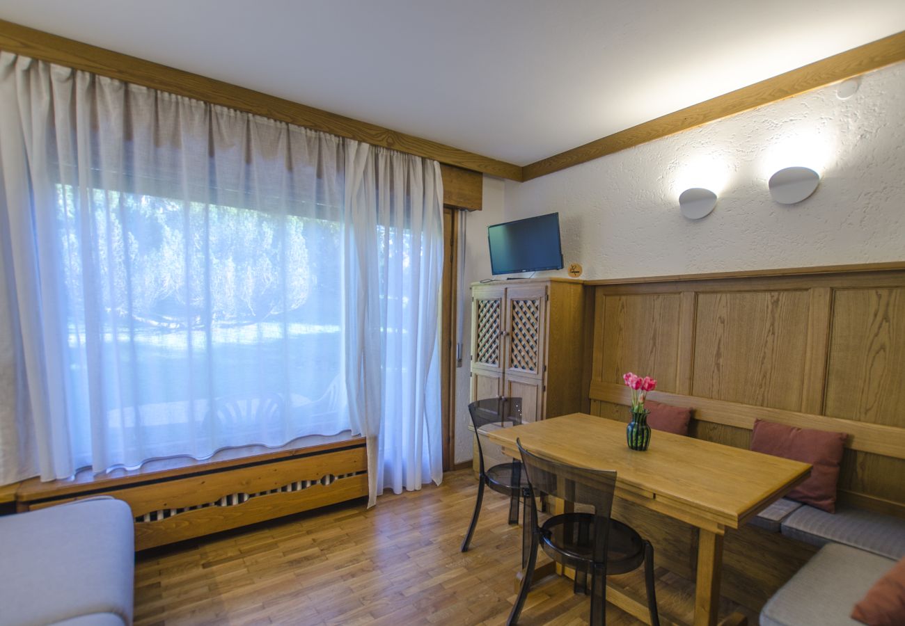 Apartment in Cortina d´Ampezzo - Comfort loft: central zone and garden.