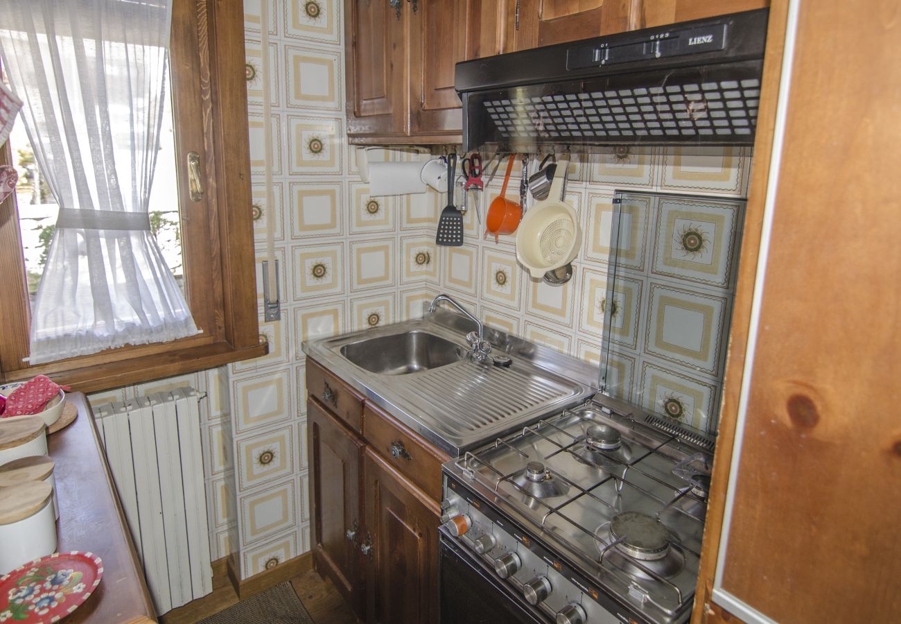 Apartment in San Vito di Cadore - Ca Tambres your home in the Dolomites