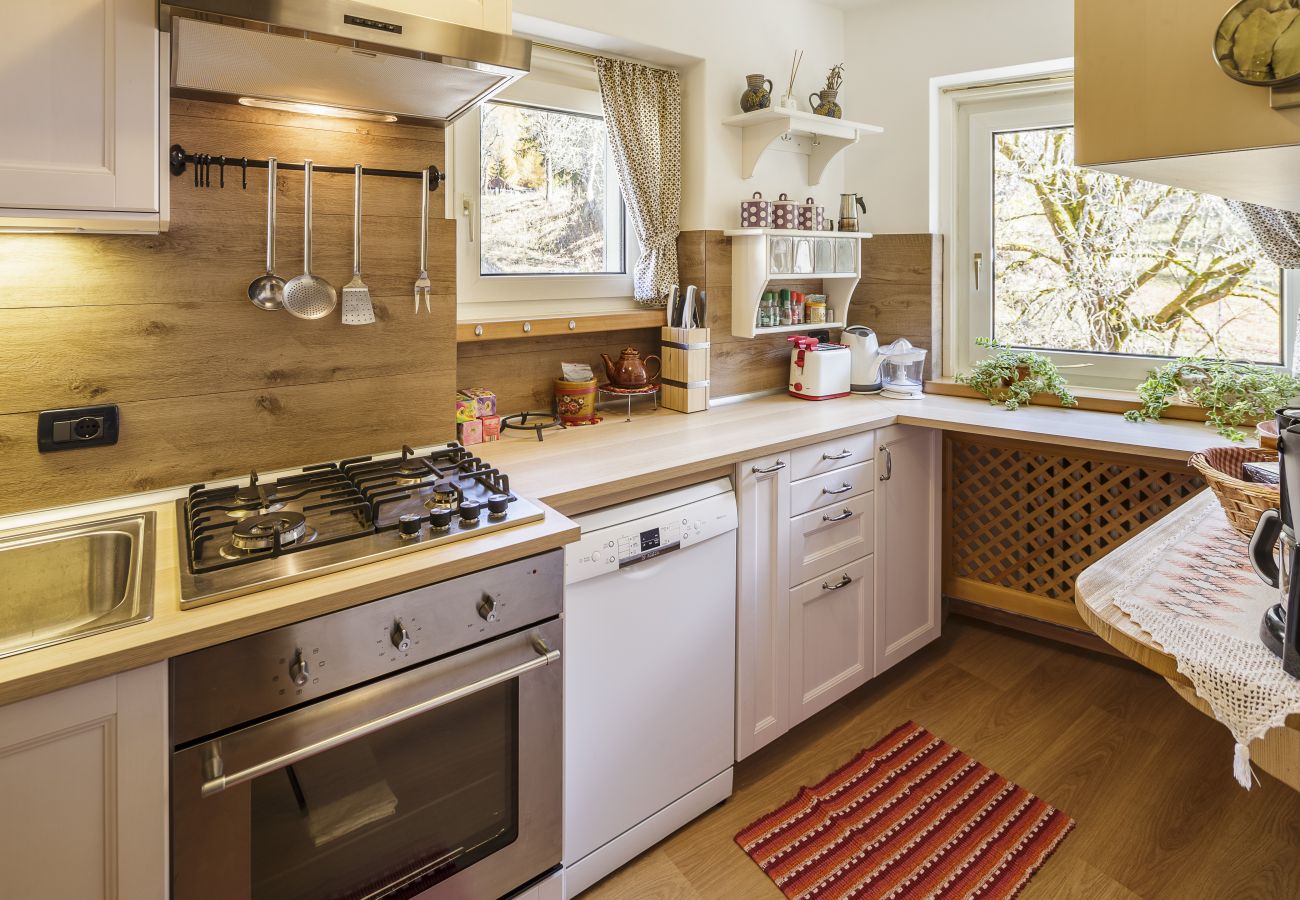 Apartment in Cortina d´Ampezzo - Casa CiasaTua - Your oasis of relax among the peaks of Cortina