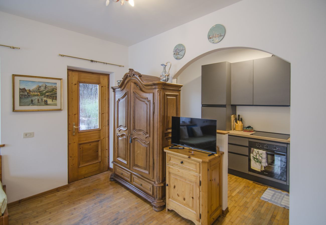 Apartment in San Vito di Cadore - Ca' Enrosadira