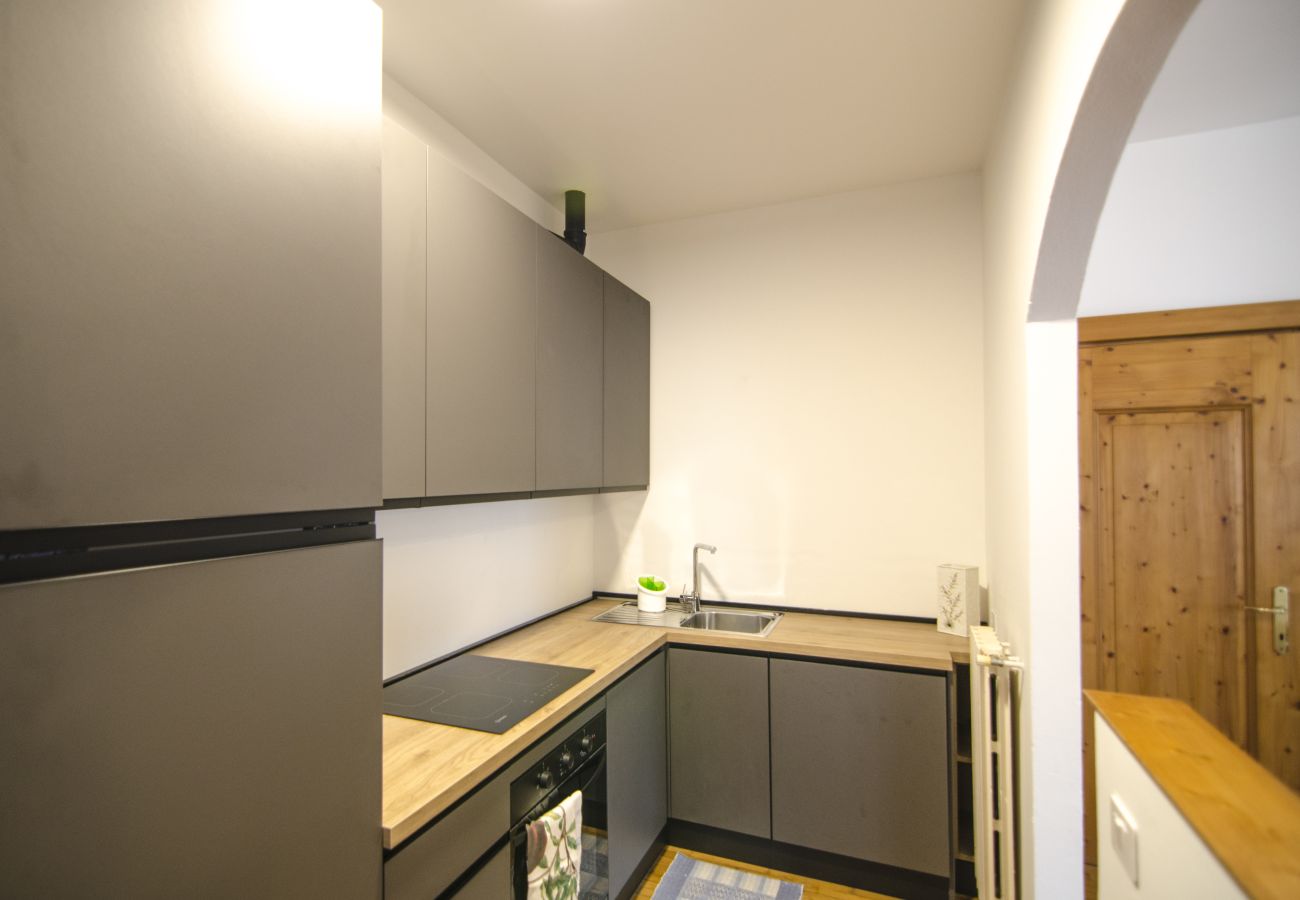 Apartment in San Vito di Cadore - Ca' Enrosadira